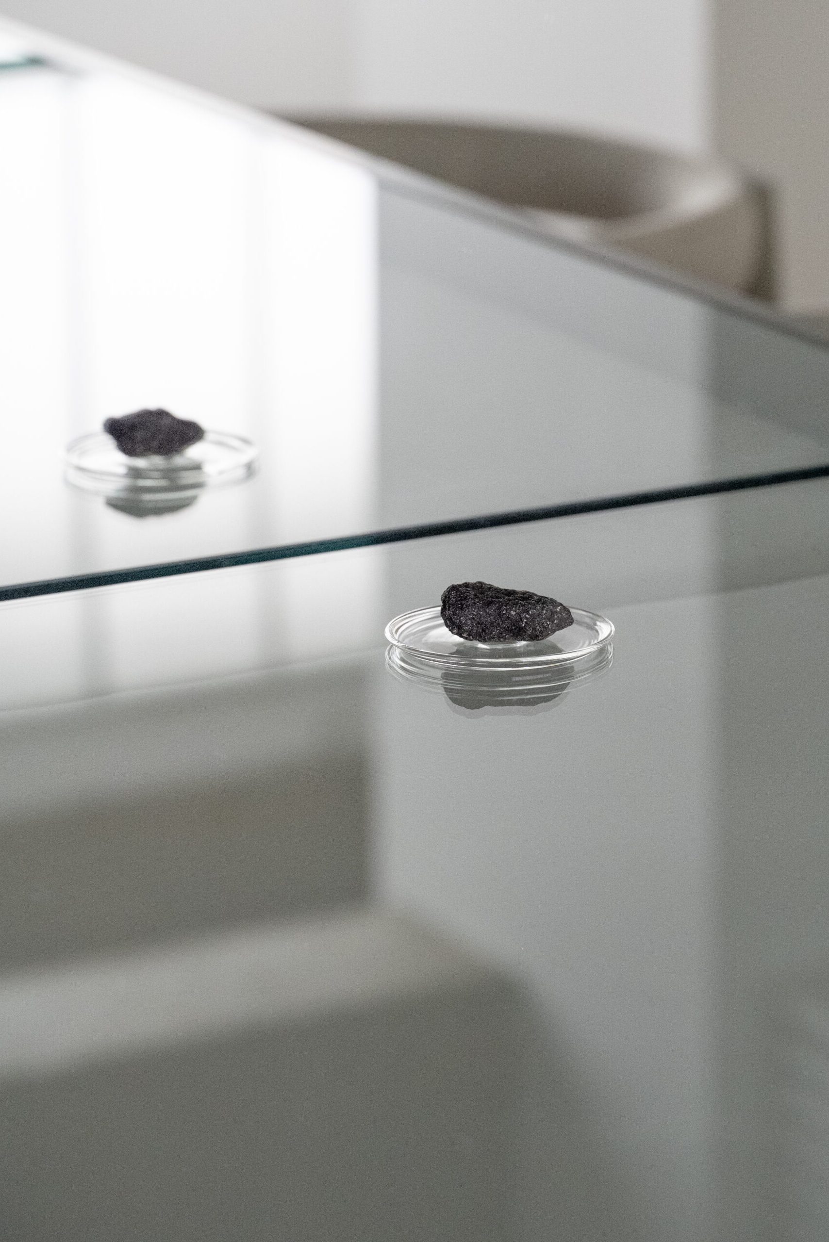 Honomeﾌ・DSC_2159